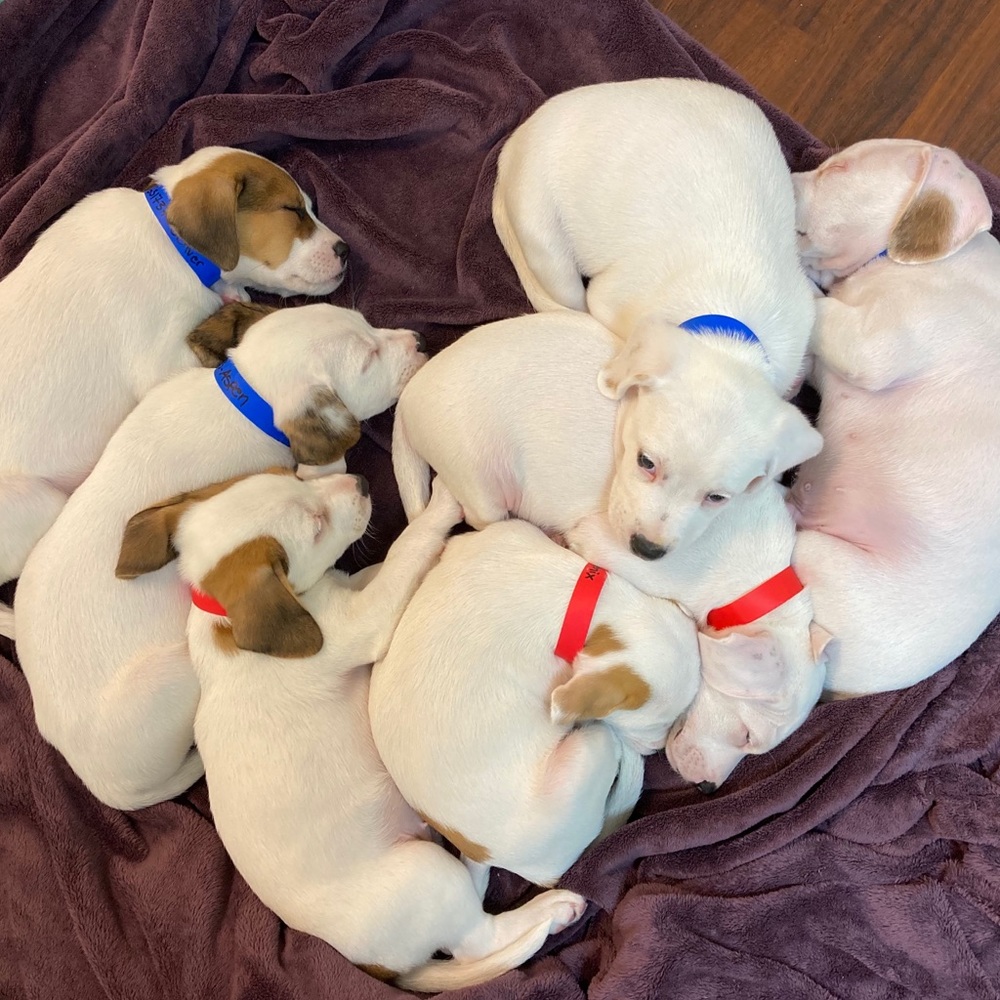 Meet your Posher, Malory